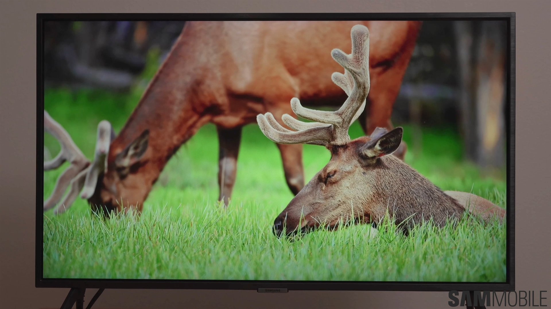 samsung q60d qled tv review 29